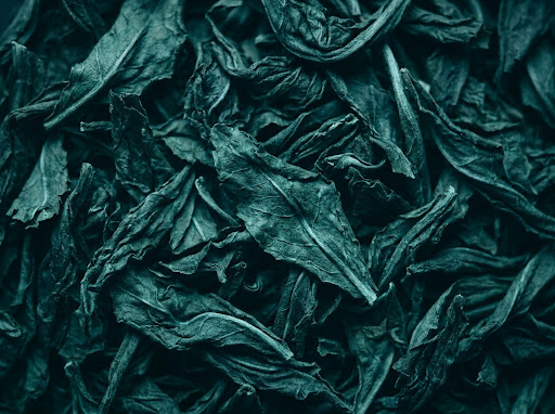 Macrofotografía de hojas de té verde secas, tonos monocromáticos teal y midnight con reflejos cyan